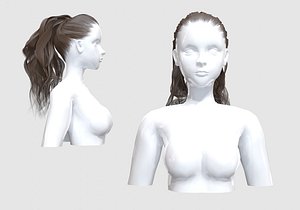 Ponytail Wavy Hair 3D
