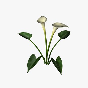 3ds calla lily