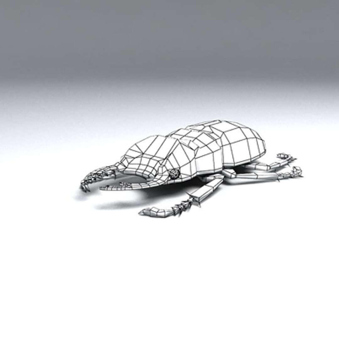 Stag Beetle 3d Model
