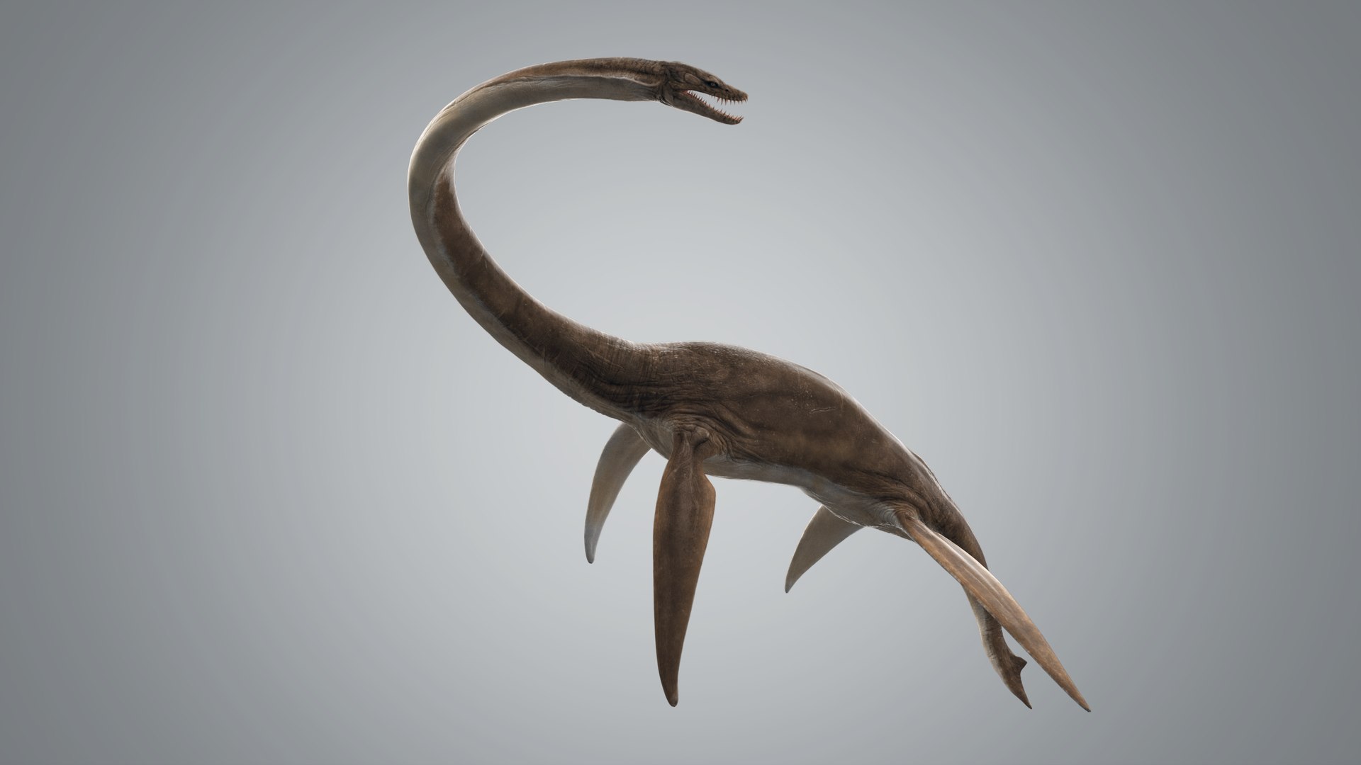 3D Plesiosaur Rigged - TurboSquid 1318063