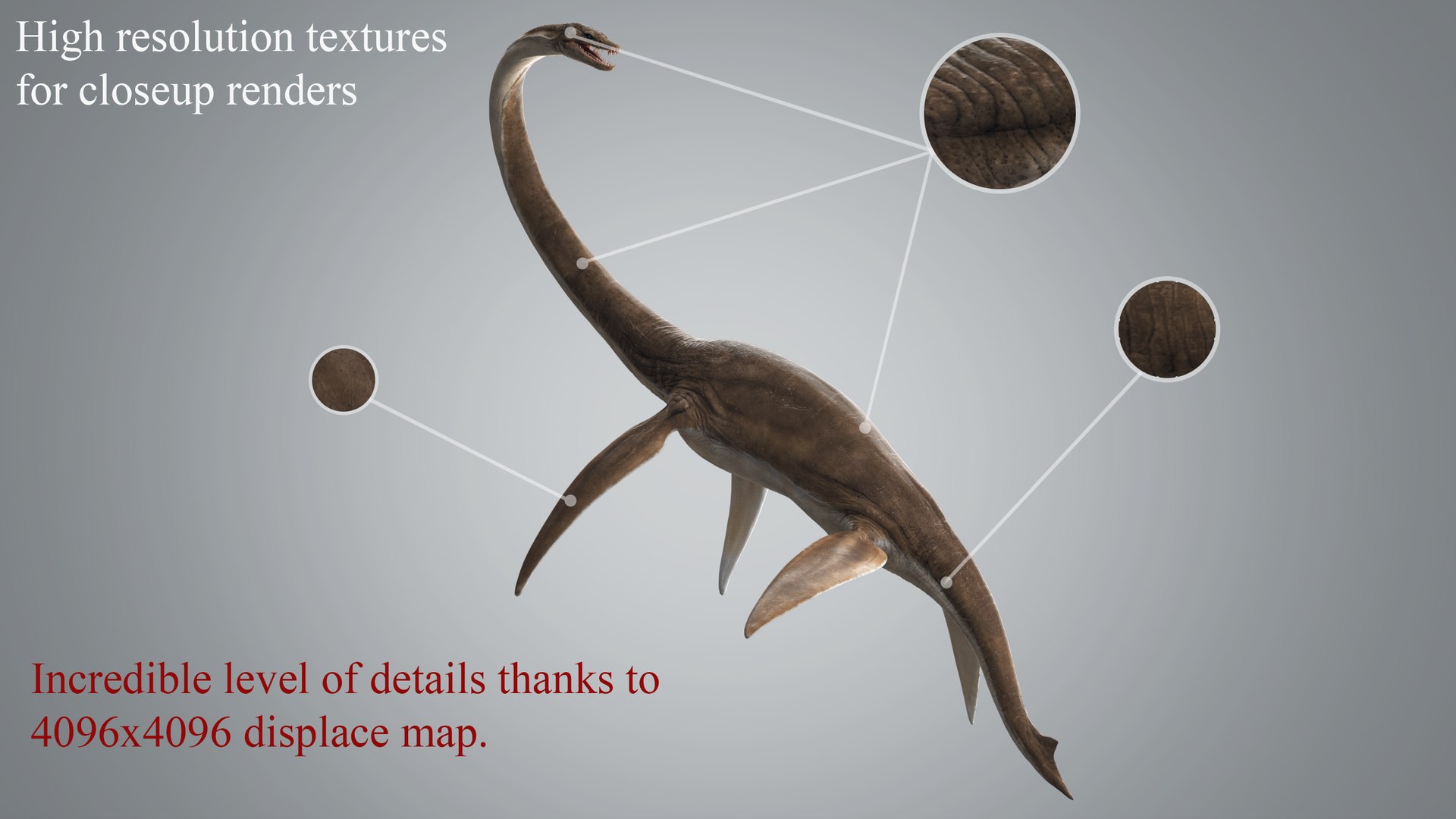 3D Plesiosaur Rigged - TurboSquid 1318063