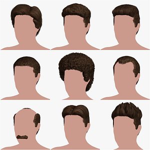 Hairstyle Collection 5 model