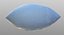 Ausländisches Ei