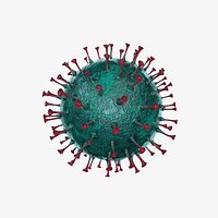 Corona Virus