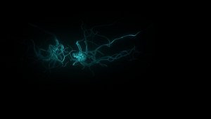 3D simple neural model