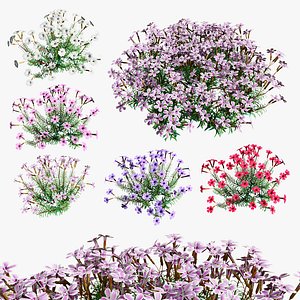 Moss pink Phlox 3d model in 5 color variation with free tutorial 3D model