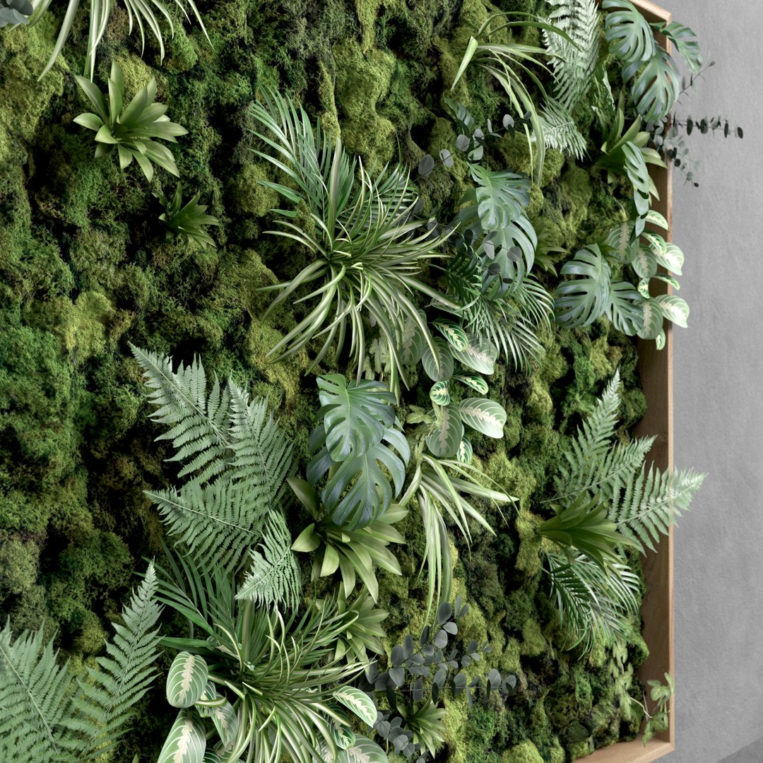 3D model decorative green moss set https://p.turbosquid.com/ts-thumb/pI/OkBkVI/uMTArbz2/4/jpg/1569766138/1920x1080/fit_q87/0c65488967890b90b5779d594263e98a5826a807/4.jpg