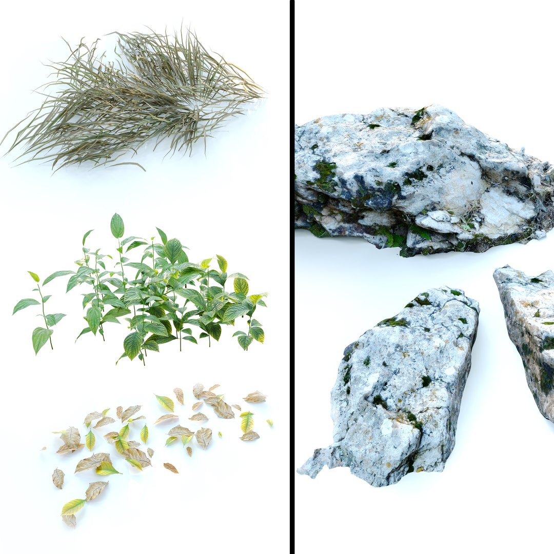 Meadow 3D https://p.turbosquid.com/ts-thumb/pI/Q8hU5H/HK/preview3me/jpg/1662266662/1920x1080/fit_q87/5e5b94d2151ba781cb2b442c9cd2a5ee994f8e24/preview3me.jpg