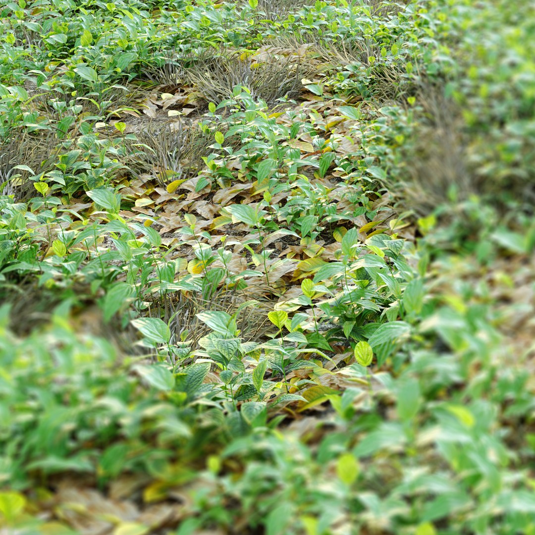 Meadow 3D https://p.turbosquid.com/ts-thumb/pI/Q8hU5H/Pr/preview7me/jpg/1662266666/1920x1080/fit_q87/254aa6ddf5baec2f5958e377bca47068841d24f7/preview7me.jpg