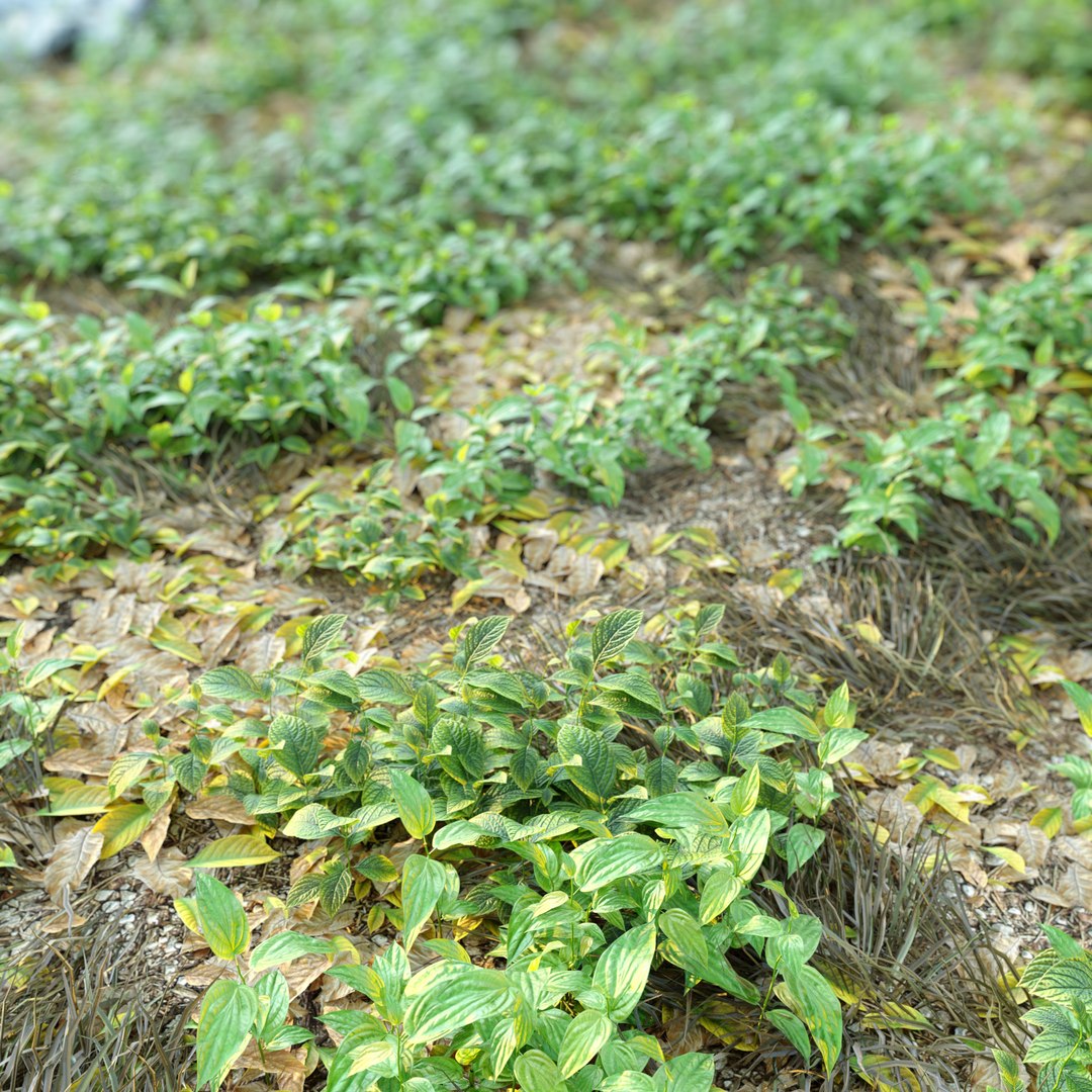 Meadow 3D https://p.turbosquid.com/ts-thumb/pI/Q8hU5H/ff/preview4me/jpg/1662266662/1920x1080/fit_q87/89f877d18fc5924577502ed0f438d60914b89f8f/preview4me.jpg