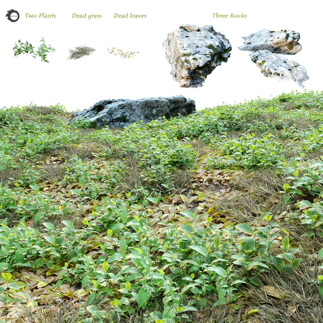 Meadow 3D https://p.turbosquid.com/ts-thumb/pI/Q8hU5H/hC/preview2me/jpg/1662266661/1920x1080/fit_q87/7d1a098bcd684a619e168ed87ccf7619b6d9502b/preview2me.jpg