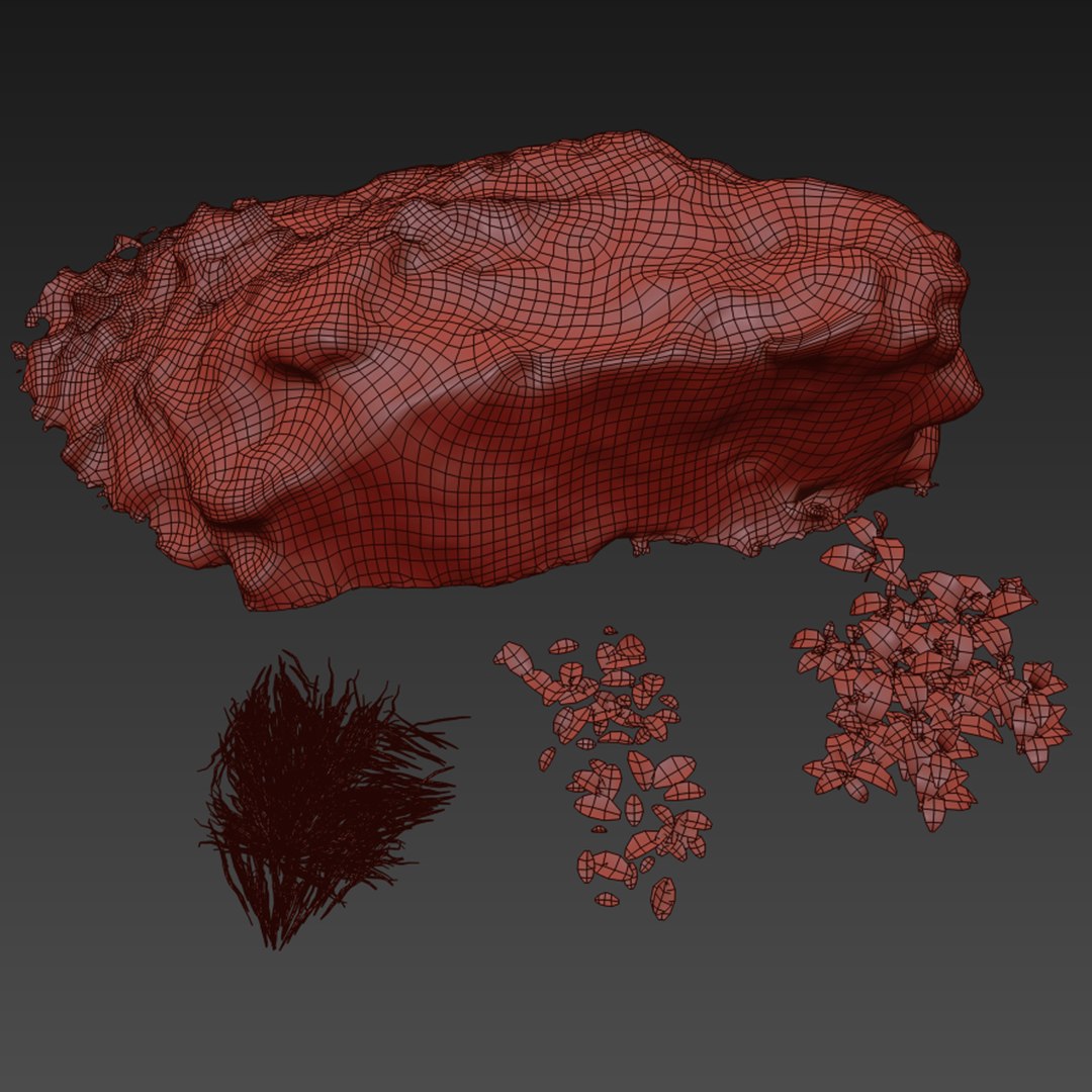 Meadow 3D https://p.turbosquid.com/ts-thumb/pI/Q8hU5H/wX/preview8me/jpg/1662266665/1920x1080/fit_q87/cf5c4987ef64a8f87d05919df4289c6d0f95289d/preview8me.jpg