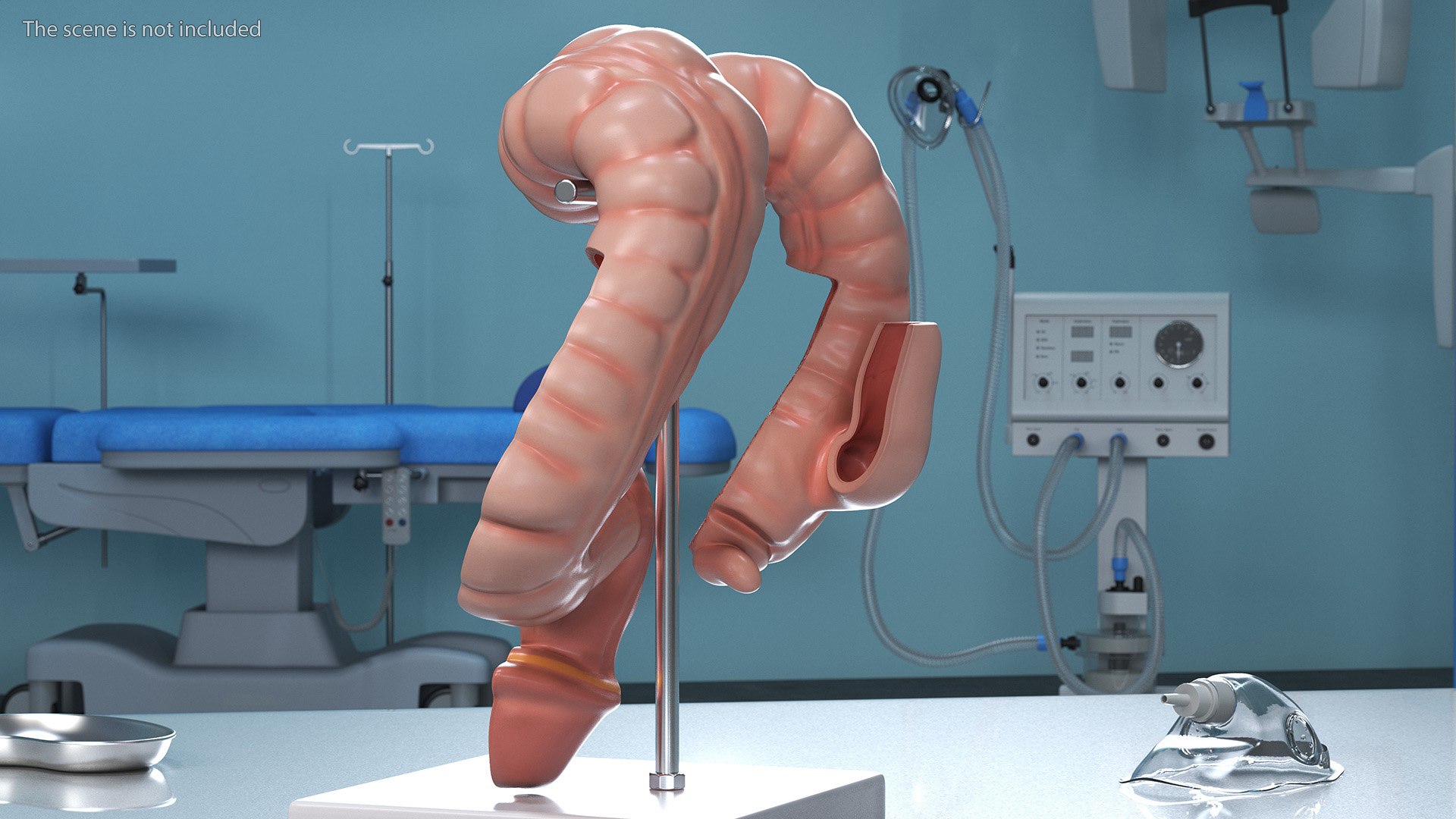 Intestine Medical Model 3D https://p.turbosquid.com/ts-thumb/pI/SHzZ3m/PM/intestinemedicalmodelc4dmodel004/jpg/1683781345/1920x1080/fit_q87/7d57c7de0f3513e90eba77597f9fdfab6169ba4f/intestinemedicalmodelc4dmodel004.jpg