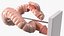 Intestine Medical Model