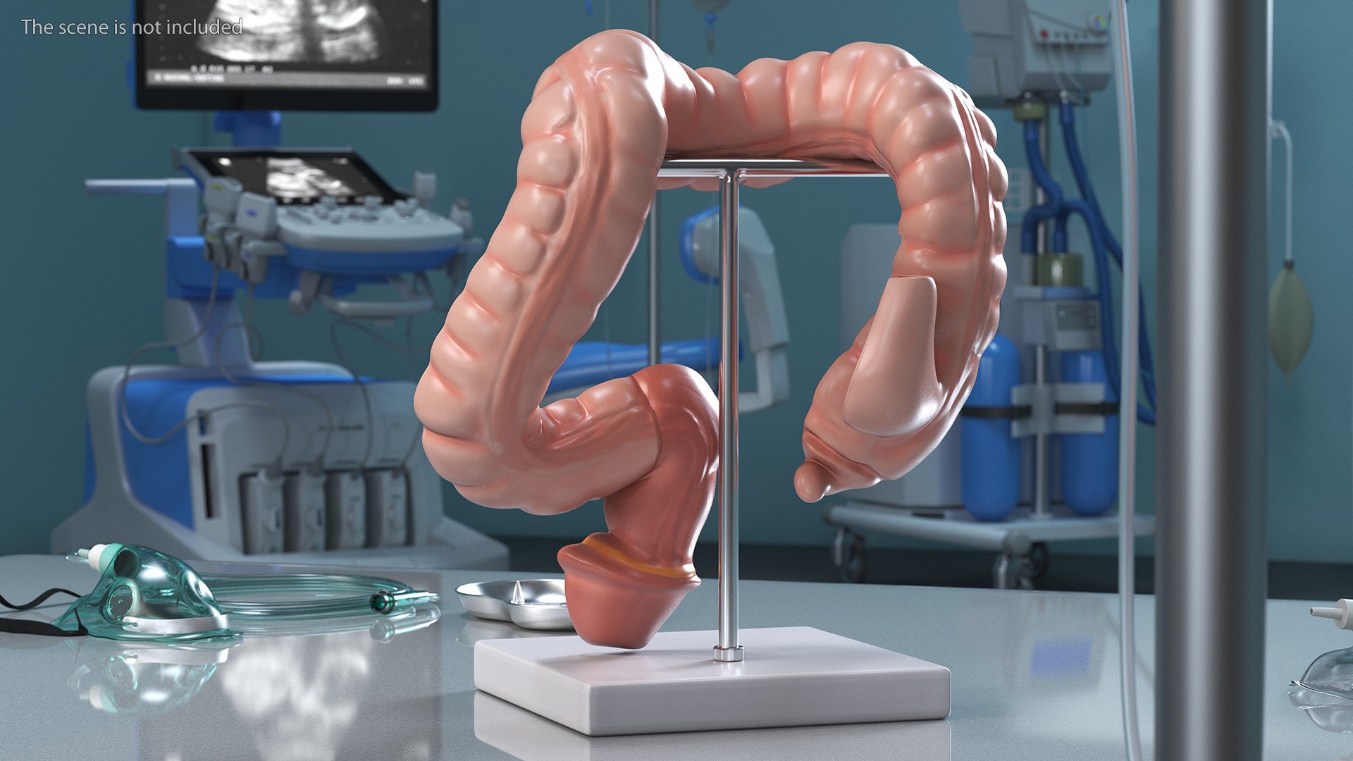 Intestine Medical Model 3D https://p.turbosquid.com/ts-thumb/pI/SHzZ3m/x7/intestinemedicalmodelc4dmodel003/jpg/1683781341/1920x1080/fit_q87/c04bbca600906dc6f028e5514d09d7de30939274/intestinemedicalmodelc4dmodel003.jpg