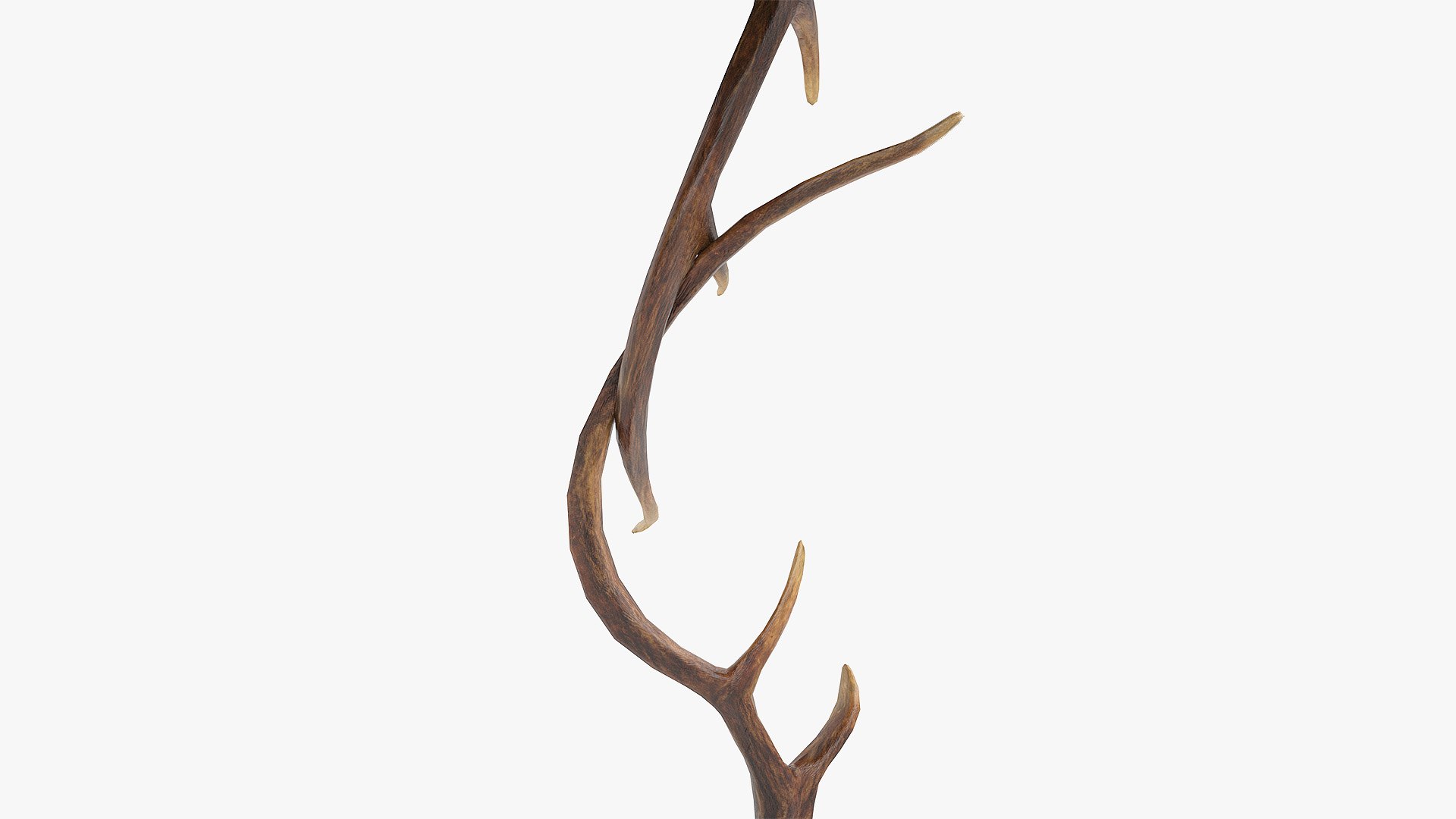 3D Antler Table Lamp PBR model https://p.turbosquid.com/ts-thumb/pI/gDrxUK/Ue/05/jpg/1775454281/1920x1080/fit_q87/d6acfd284c2535dfb5d7424825862f695eccda80/05.jpg
