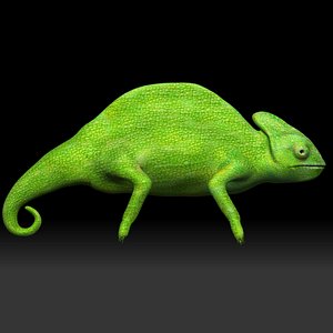 Green Chameleon 3D model