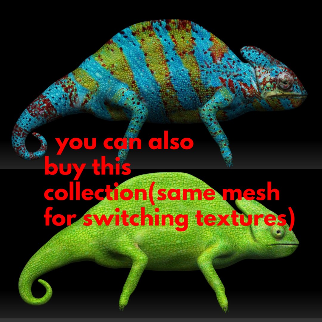 Green Chameleon 3D model https://p.turbosquid.com/ts-thumb/pI/hDamMA/dX/y3/jpg/1621616815/1920x1080/fit_q87/ecbbc2afff4c1b5b36ab305ab33877f4d2f94b91/y3.jpg