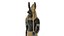 Egyptian Anubis