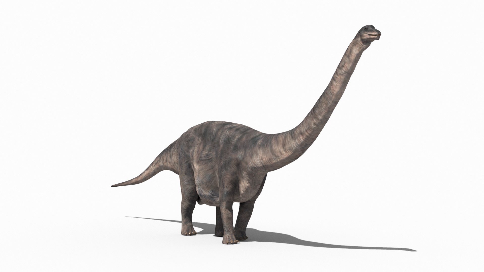 3D Apatosaur Forever - 8K https://p.turbosquid.com/ts-thumb/pI/mEX9l1/2C/15/jpg/1684112054/1920x1080/fit_q87/79e12bb76b296e640ad6abbcd6b781f9016119f7/15.jpg