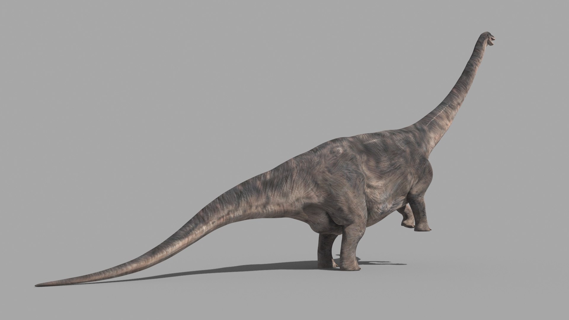 3D Apatosaur Forever - 8K https://p.turbosquid.com/ts-thumb/pI/mEX9l1/cb/1/jpg/1684112048/1920x1080/fit_q87/0bcb2ae5c7195ea7a1cd5b599e86e1b394ac142b/1.jpg