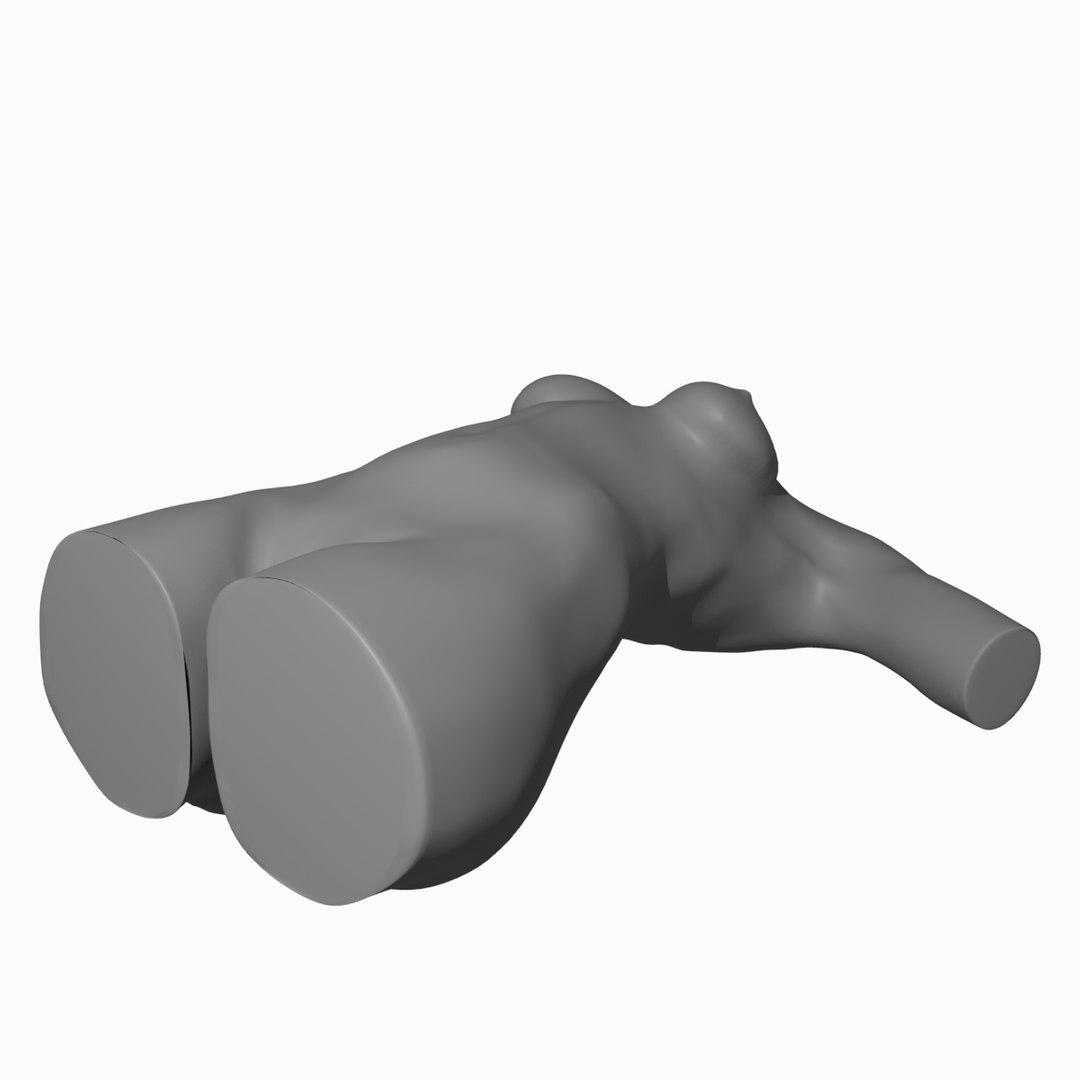 3d male female mannequins https://p.turbosquid.com/ts-thumb/pI/uRaLZT/JH6FPXxn/004/jpg/1529600334/1920x1080/fit_q87/120bf9b629757069ec69de9cccba958105d4e9de/004.jpg