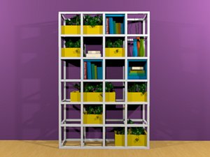 shelf 3D