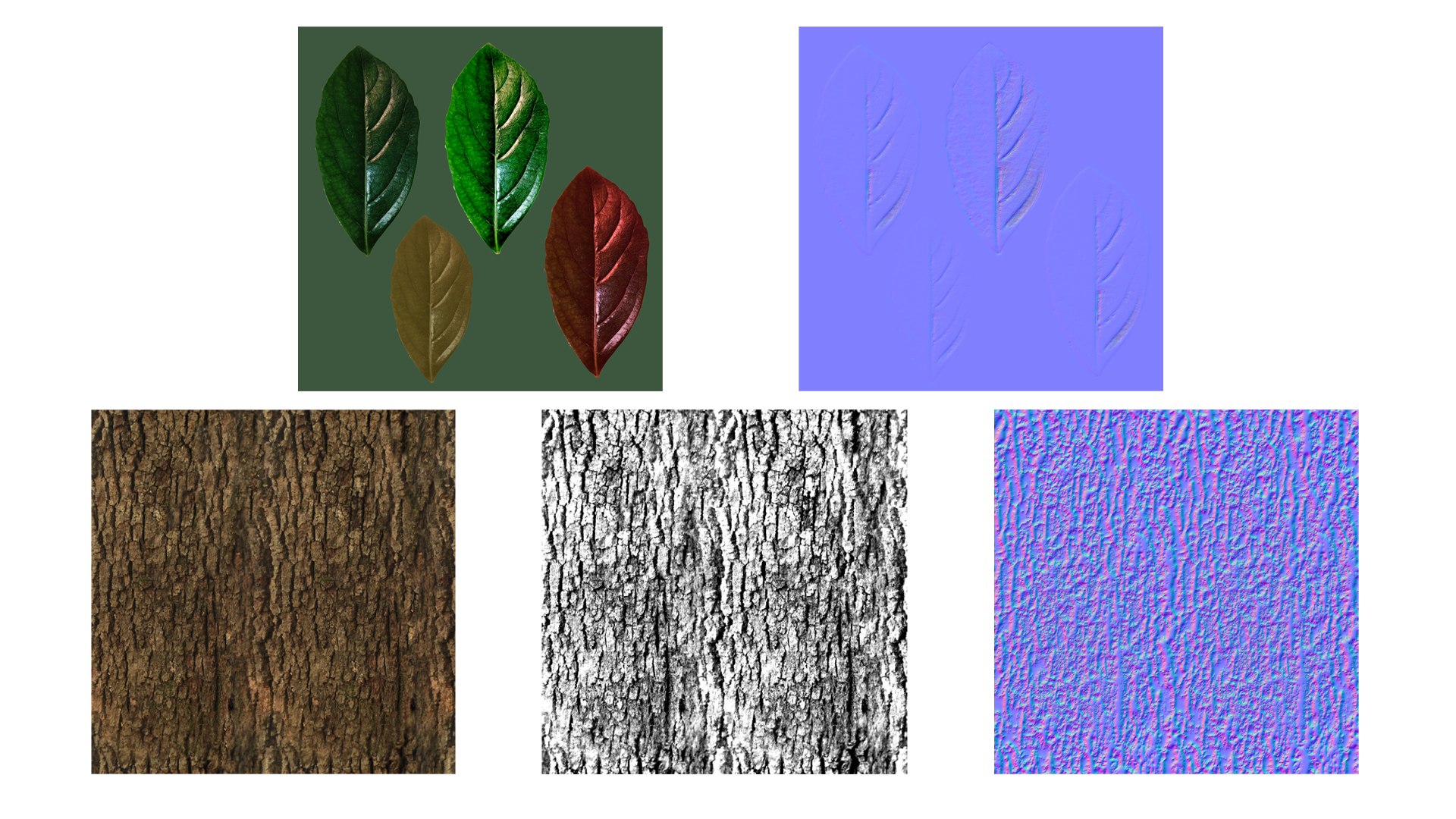 tree modeled 3D https://p.turbosquid.com/ts-thumb/pJ/NSZWI6/QKb4XXXI/testure/png/1604787830/1920x1080/fit_q87/44a6ca23e276d1959d4400104449d49570a3934d/testure.jpg