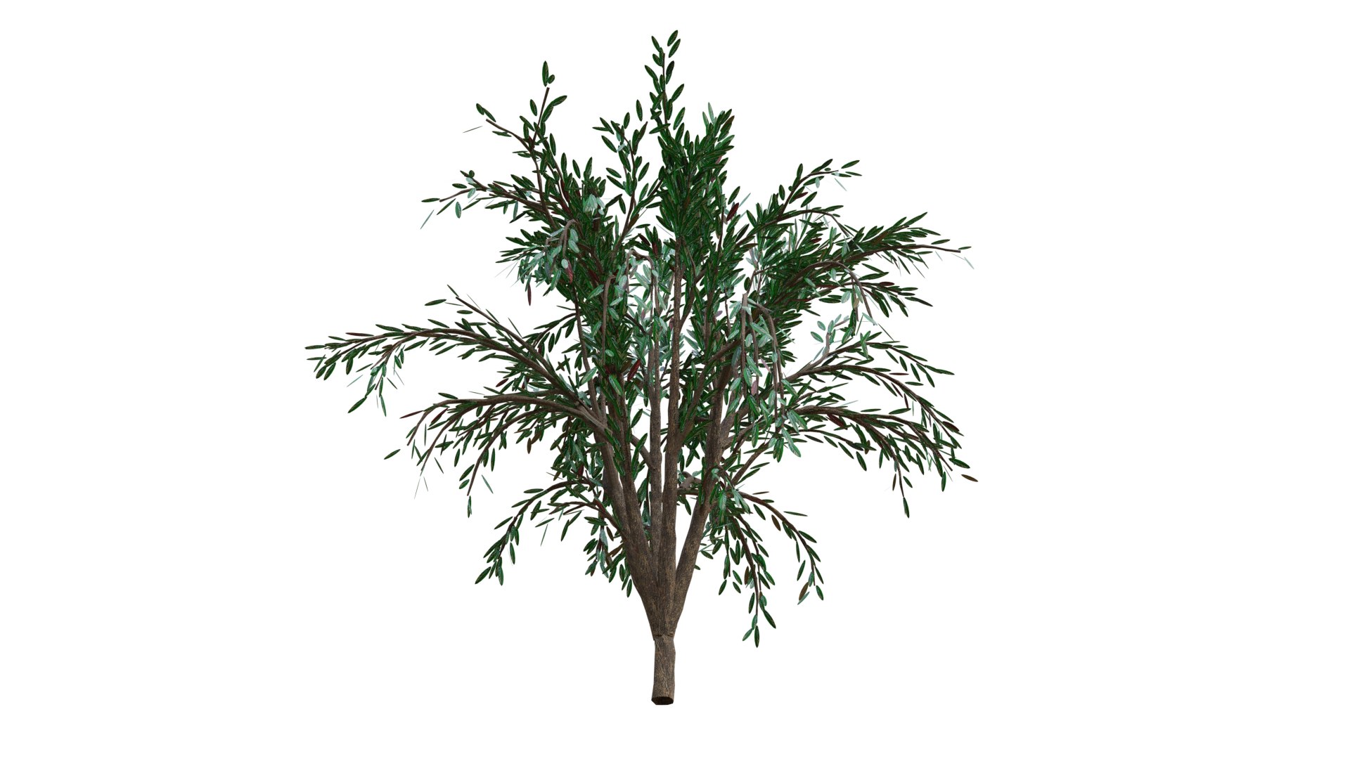tree modeled 3D https://p.turbosquid.com/ts-thumb/pJ/NSZWI6/SwqF9a3O/tree1_c4/png/1604785592/1920x1080/fit_q87/689a27ed942f792a6f2d2535a9f0cbf0104ee5db/tree1_c4.jpg