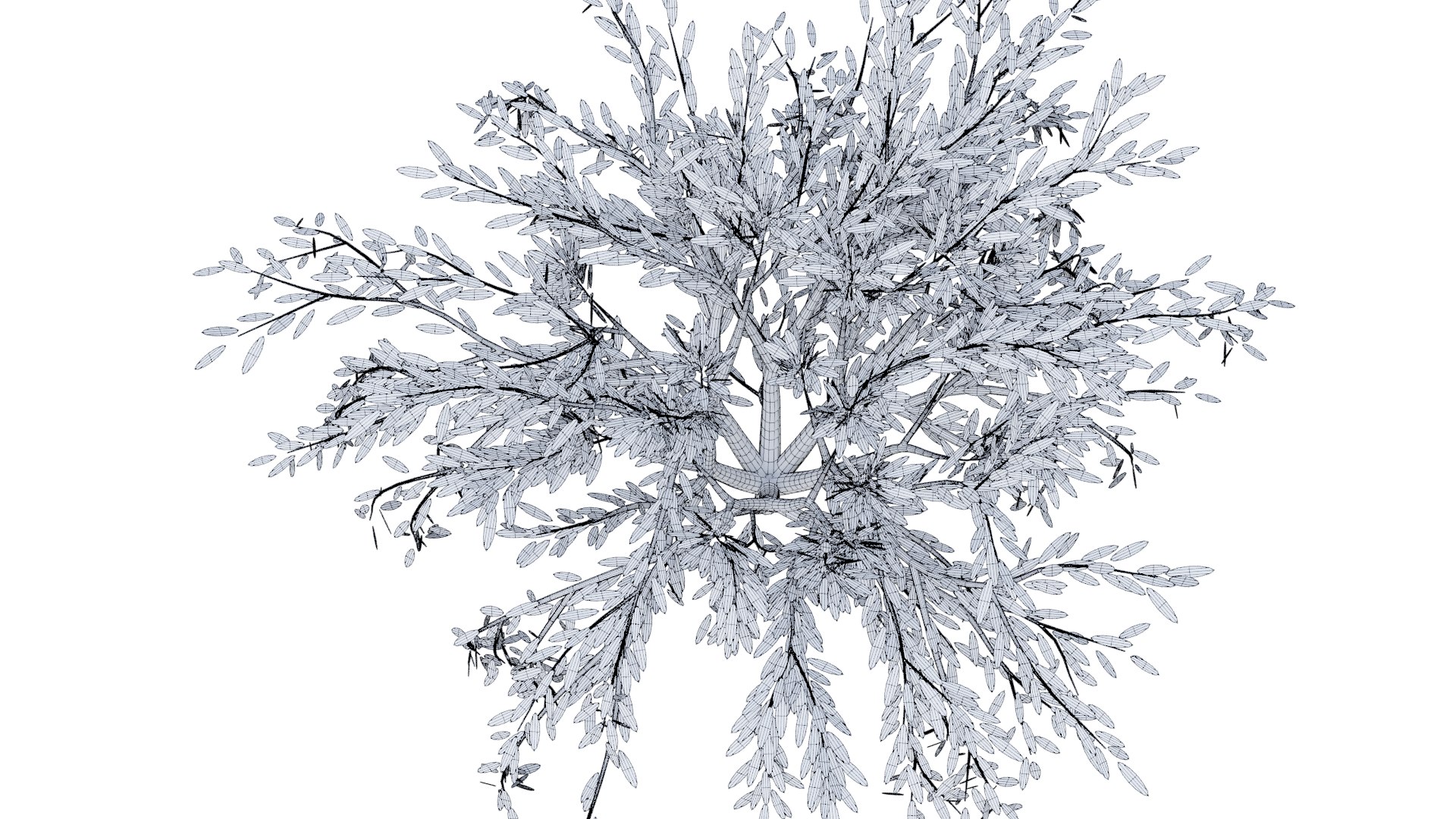 tree modeled 3D https://p.turbosquid.com/ts-thumb/pJ/NSZWI6/fTjFqyZp/tree1_cwf2/png/1604785593/1920x1080/fit_q87/42475e5c25b54d4a6787d460a43116b863179b18/tree1_cwf2.jpg