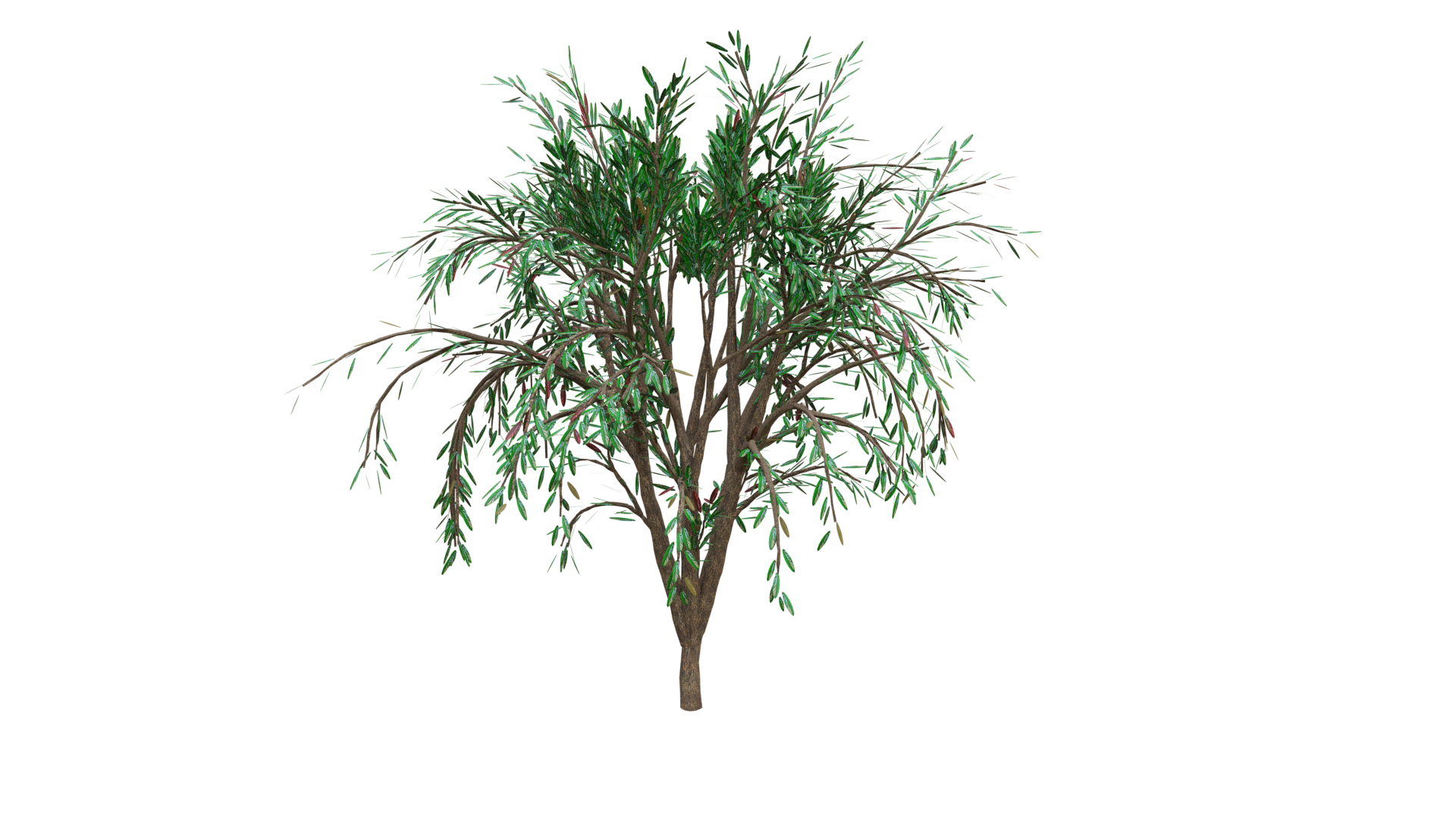 tree modeled 3D https://p.turbosquid.com/ts-thumb/pJ/NSZWI6/kqCXJ1nr/tree/png/1604785809/1920x1080/turn_fit_q99/8373a8558a111f9fab2811922a6f6e0b9a9cb86e/tree-1.jpg