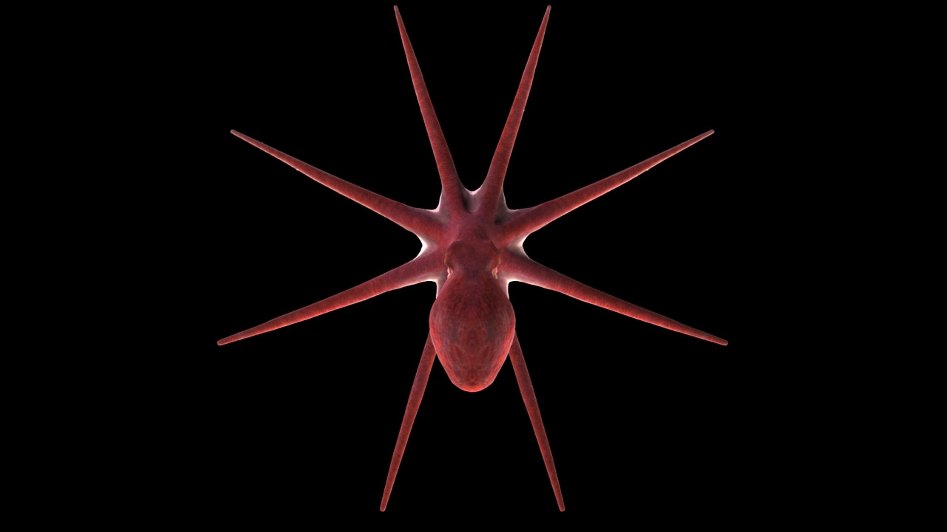 3d max rigged octopus animation https://p.turbosquid.com/ts-thumb/pJ/WZ9cVd/1Wz6iVKG/6/jpg/1397163773/1920x1080/fit_q87/ac3a2106942d27711dbf504fc6253b59653009b5/6.jpg