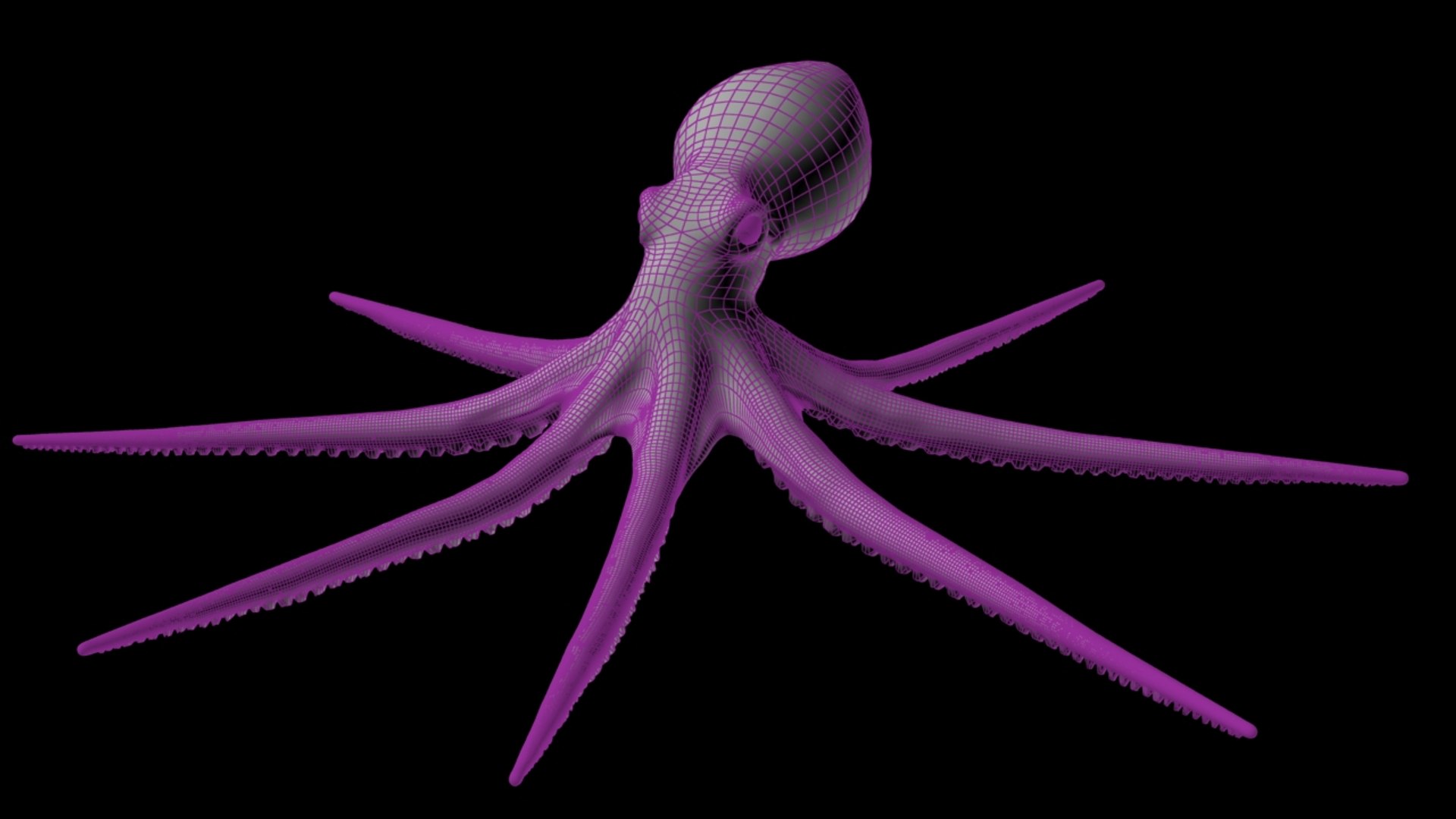 3d max rigged octopus animation https://p.turbosquid.com/ts-thumb/pJ/WZ9cVd/EHhdy3uD/wire1/jpg/1397163773/1920x1080/fit_q87/b01c7ecdffcf9b68c9d7f230ae842187453386a7/wire1.jpg