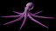 Octopus Low Poly Model Rigged Animated