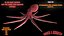 Octopus Low Poly Model Rigged Animated