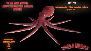 Octopus Low Poly Model Rigged Animated