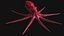 Octopus Low Poly Model Rigged Animated