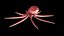 Octopus Low Poly Model Rigged Animated
