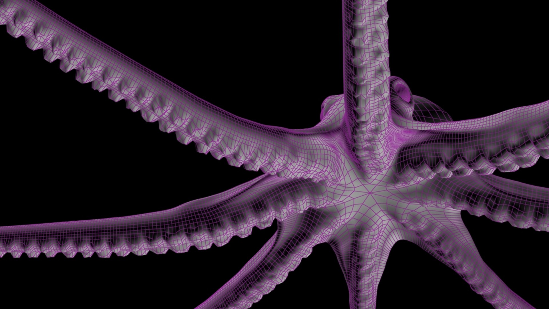 3d max rigged octopus animation https://p.turbosquid.com/ts-thumb/pJ/WZ9cVd/XGRk5lZX/wire2/jpg/1397163773/1920x1080/fit_q87/c760e503ec87e19d63bd743340d9315ae58d7ead/wire2.jpg