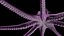 Octopus Low Poly Model Rigged Animated
