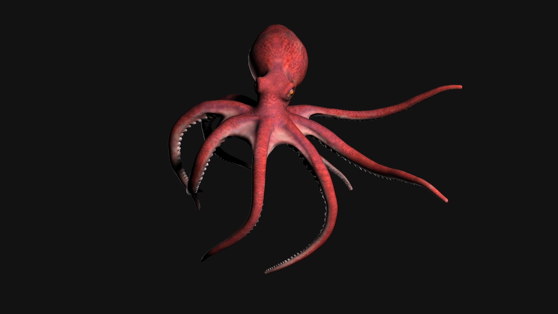 3d max rigged octopus animation https://p.turbosquid.com/ts-thumb/pJ/WZ9cVd/ZSK3EEjx/cinematic1/jpg/1422998265/1920x1080/fit_q87/338b7463b94341dd017d52cbbed1a943115e1151/cinematic1.jpg