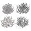 Witch Hazel 3d em 4 temporadas