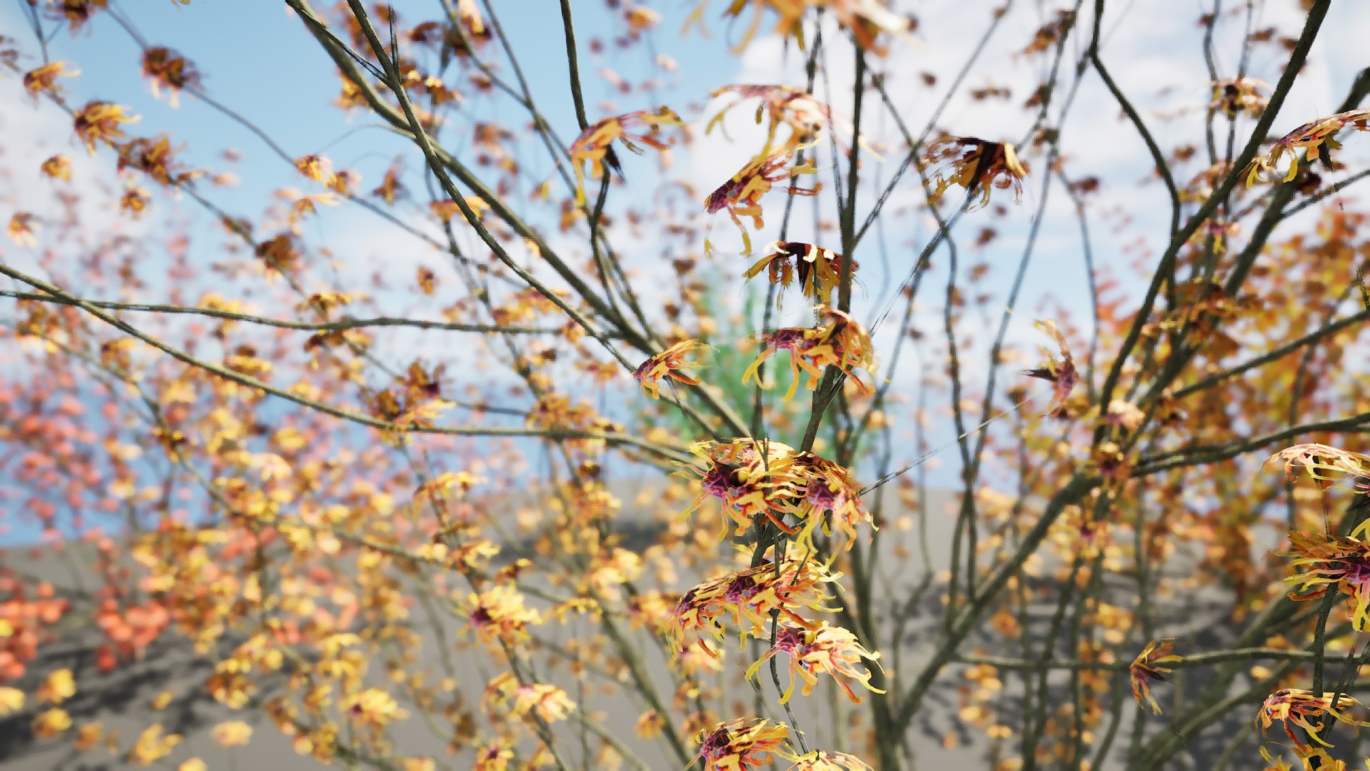 3D Witch Hazel 3d in 4 seasons https://p.turbosquid.com/ts-thumb/pJ/Wletcx/Cv/highresscreenshot00002/jpg/1703799389/1920x1080/fit_q87/269f89eb23d313e7274a50335c711ae6b4827a02/highresscreenshot00002.jpg
