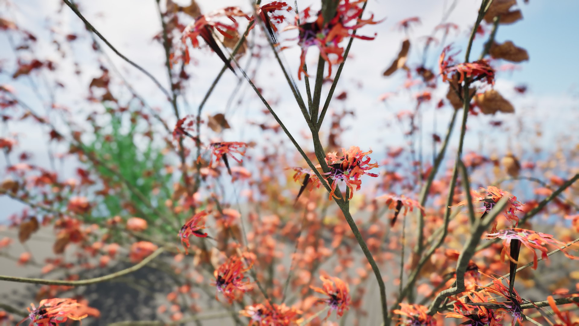 3D Witch Hazel 3d in 4 seasons https://p.turbosquid.com/ts-thumb/pJ/Wletcx/q4/highresscreenshot00003/jpg/1703799390/1920x1080/fit_q87/6d1f5198778ec6797b0c73175de0663eca197d58/highresscreenshot00003.jpg