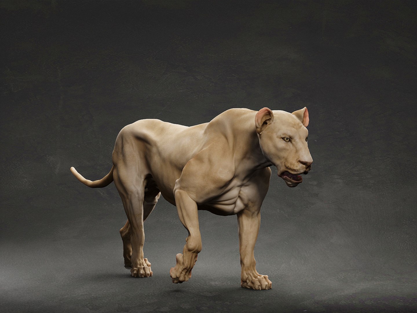 3D model animal lion https://p.turbosquid.com/ts-thumb/pJ/XI26hO/9h/2/jpg/1633296258/1920x1080/fit_q87/7198ce2131fc8dd65233114fdf47a1c5ddc67da7/2.jpg
