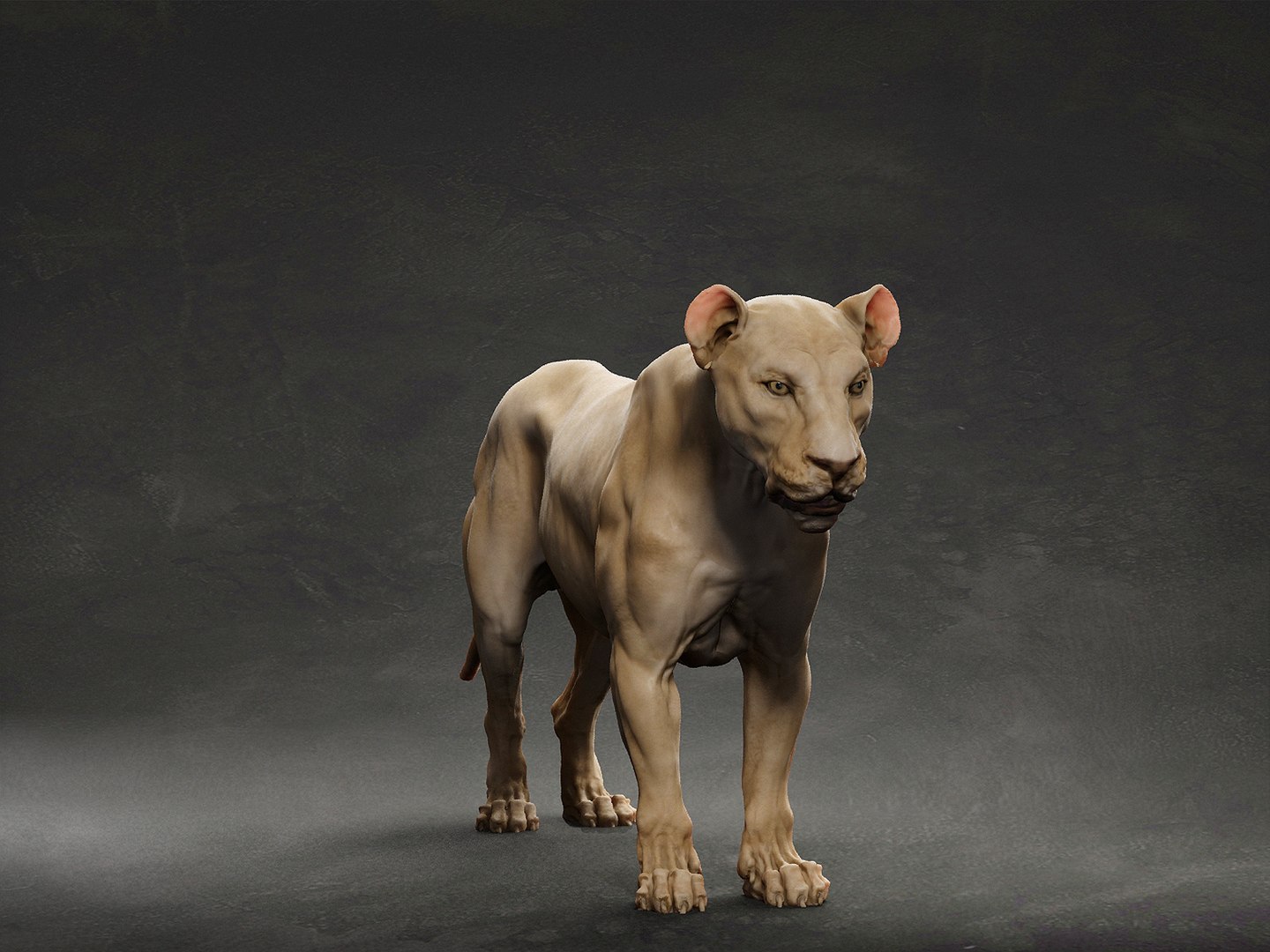 3D model animal lion https://p.turbosquid.com/ts-thumb/pJ/XI26hO/Ga/5/jpg/1633296260/1920x1080/fit_q87/a2cd5f5dd9db58972312a40f22440a732c2077fa/5.jpg