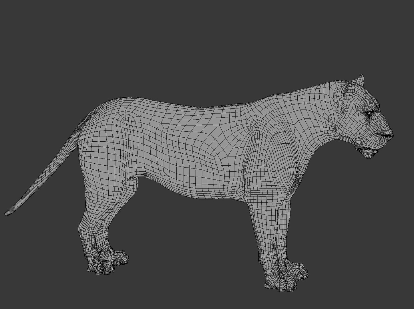 3D model animal lion https://p.turbosquid.com/ts-thumb/pJ/XI26hO/Nb/wire/jpg/1633296250/1920x1080/fit_q87/ada6e8e0f7e81e47caca8b5638fe2f937c86600a/wire.jpg