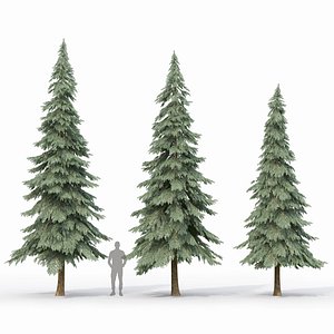 3D Fir-tree