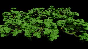 3D model Wild Trees Pack