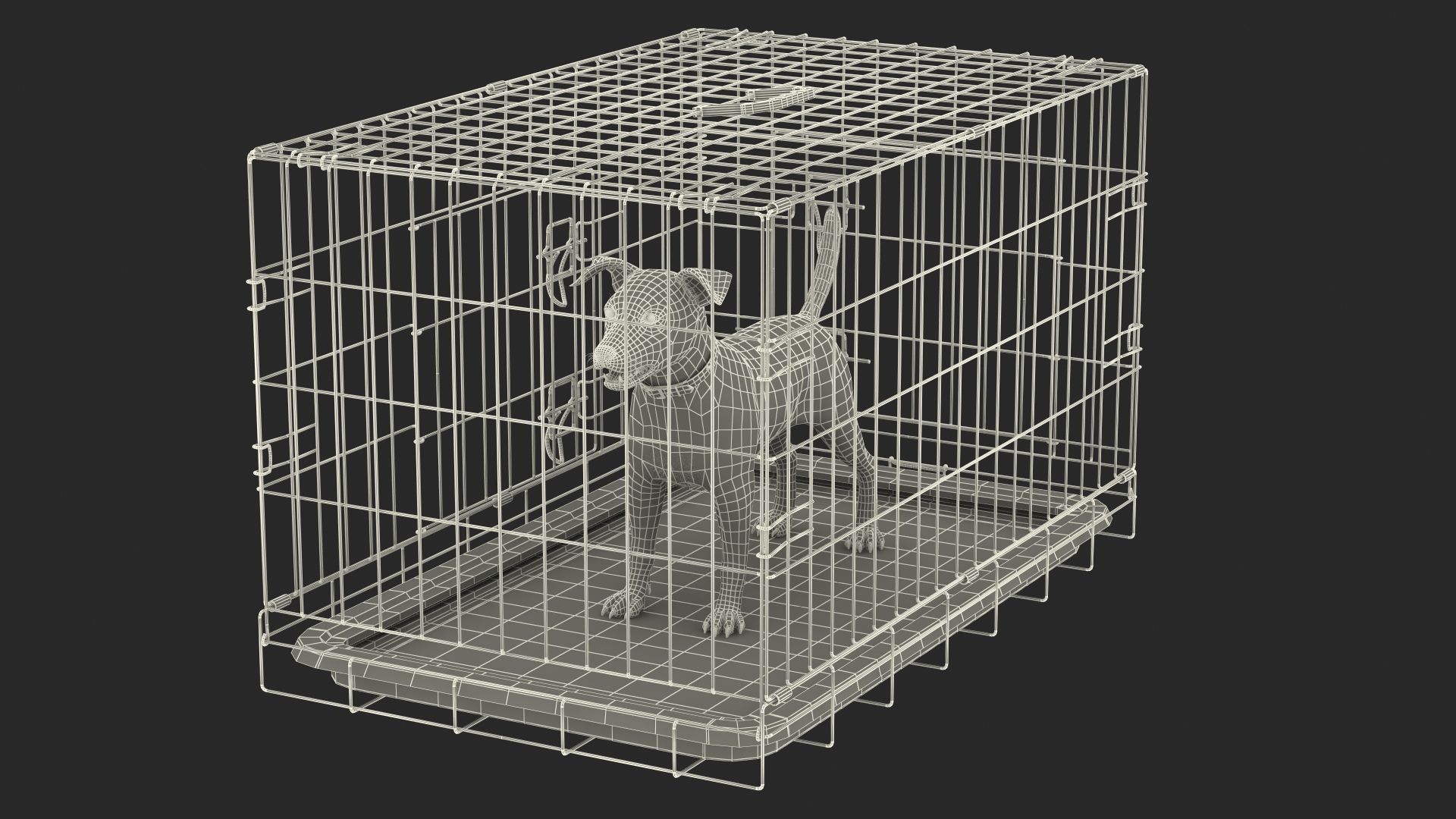 Dog cage for jack russell hotsell